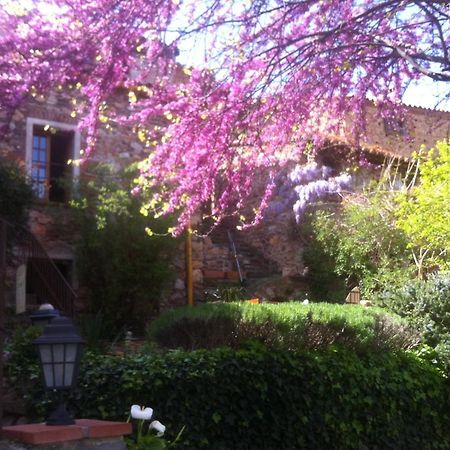 La Figuera Bed & Breakfast Camélas Екстериор снимка